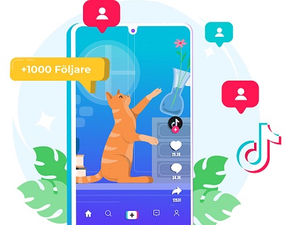 TikTok-video